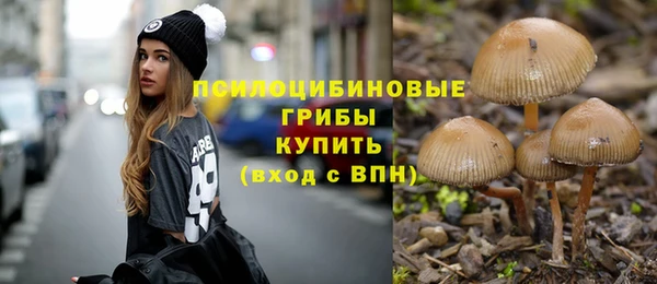 стаф Покачи
