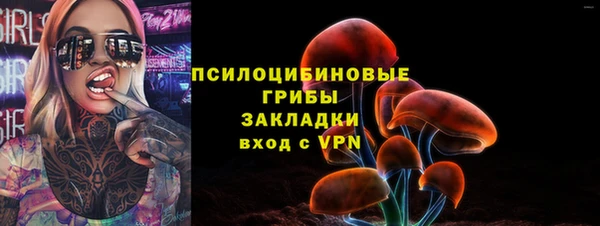 дурь Богданович