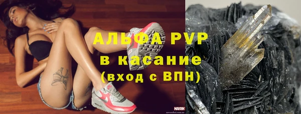 дурь Богданович