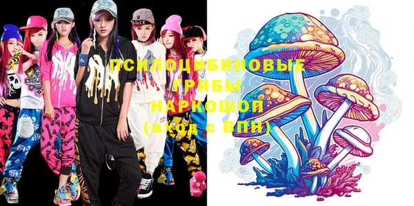 дурь Богданович